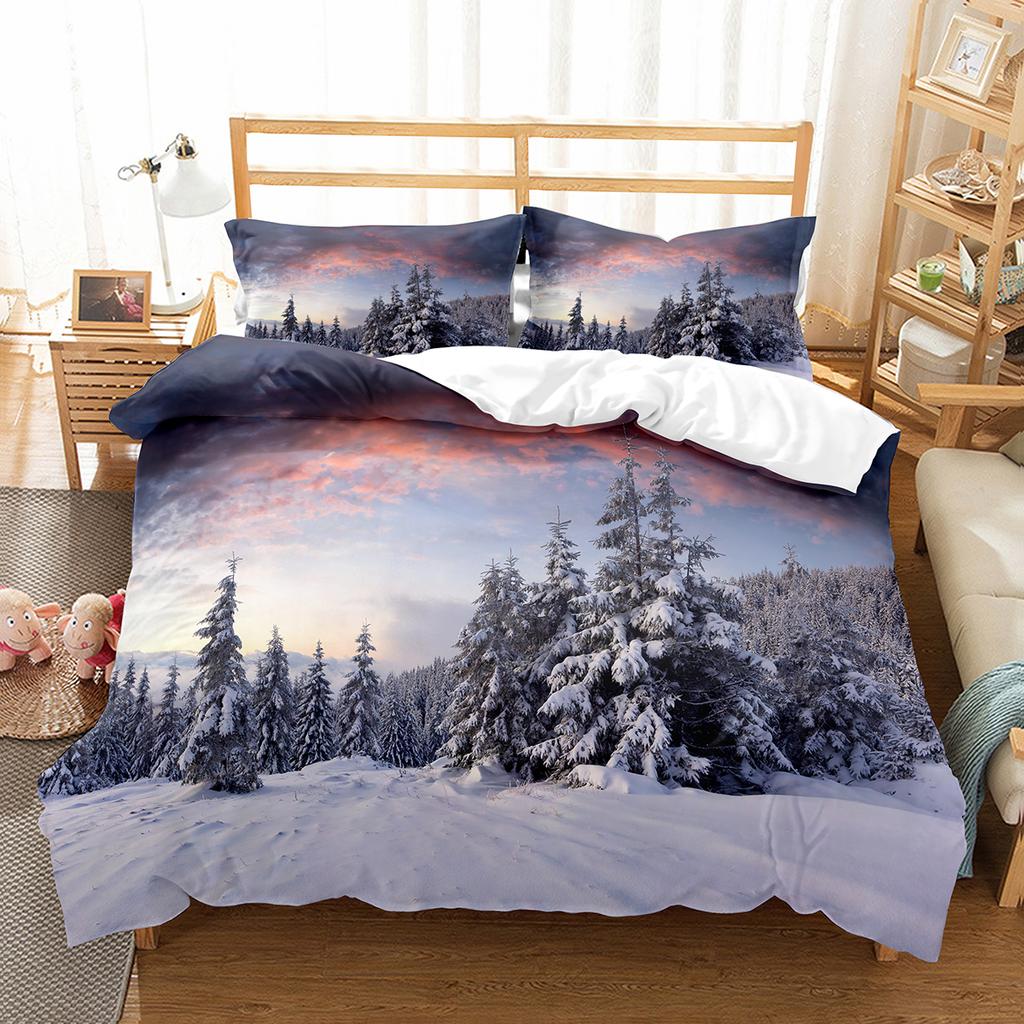 Sada povlaku na přikrývku Snowflake Zimní téma Polyesterový povlak na přikrývku Velikost Twin Full Pro Děti Dospívající Dospělé Dekorace do ložnice Ložní souprava