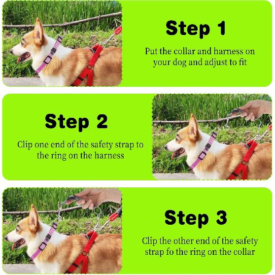 3 Pcs Dog Collar Safety Clip, Double Clip Dog Leash Extender, Adjustable Reflective Nylon Prong Collar Backup Set for Dog Harness Connector