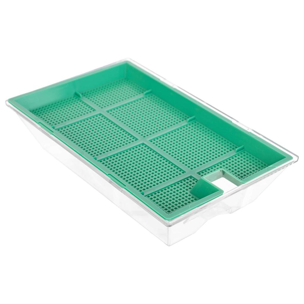 KADAX Kiełkownica Mała 16x10cm Zielona