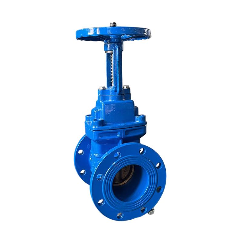 Chuxiao Z41T-16Q Cast Iron Rising Stem Gate Valve