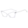 Elegant Anti-Blue Light Glasses Frame: Trendy, Personalized European-American Design with Versatile Flat Lenses.