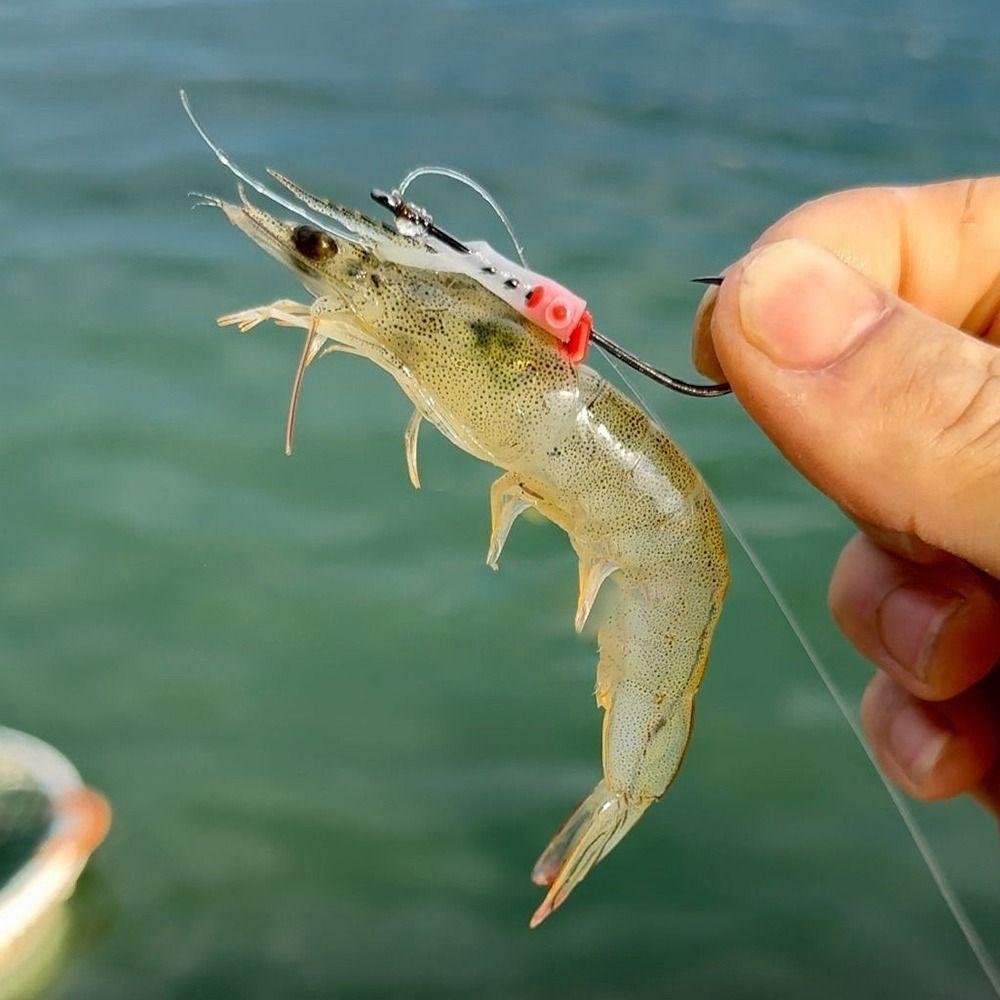 5pcs Stainless Luminous Bait Fixed Holder Set Anti-entanglement No Unhooking Luminous Live Shrimp Hooks Sharp Barbed Anti Slip
