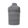 Li Ning Vests Men's Carbon Gray Purple Stand Collar Moderate Other AMMV005-3