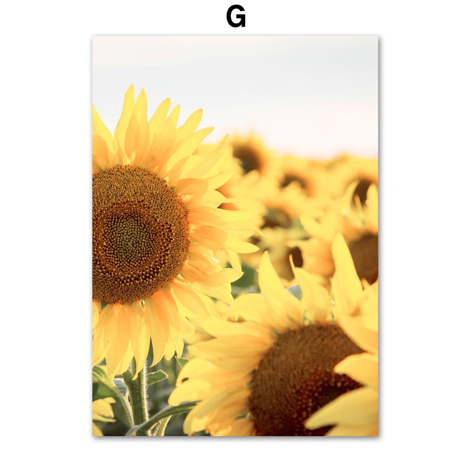 Spring Sunflower Idyllic Lake Landscape Posters And Prints Canvas Painting Nordic Wall Art Pictures For Living Room Home Decor