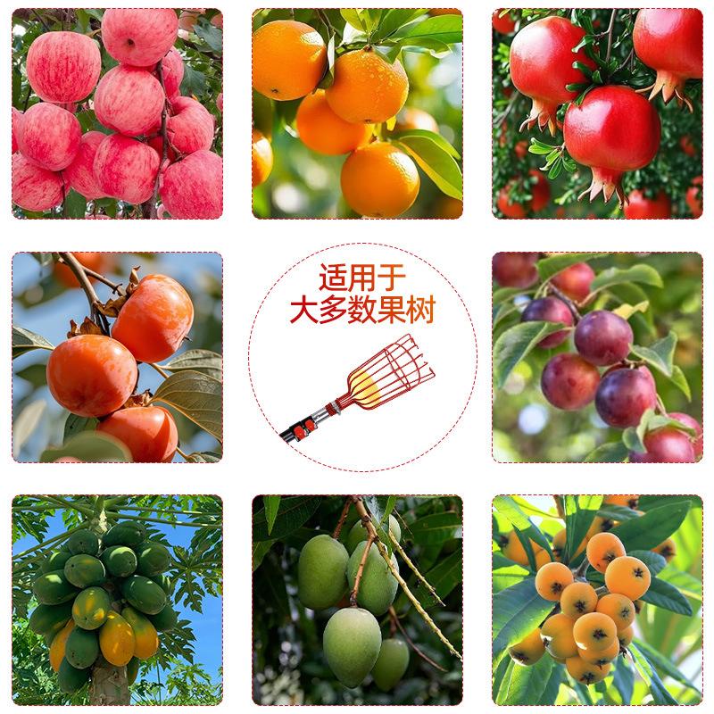 Picking Fruit High-Altitude Fruit Picker Fruit Picker Telescopic Rod High-Altitude Fruit Picker Garden Tools