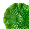 Leaf Crafts Energetic Non-fading Simulation Lotus Leaf Fine Workmanship Realistic DIY Washable