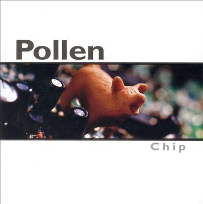 

CD POLLEN - Chip FBR030 Fueled By Ramen 1999 US Rock Used