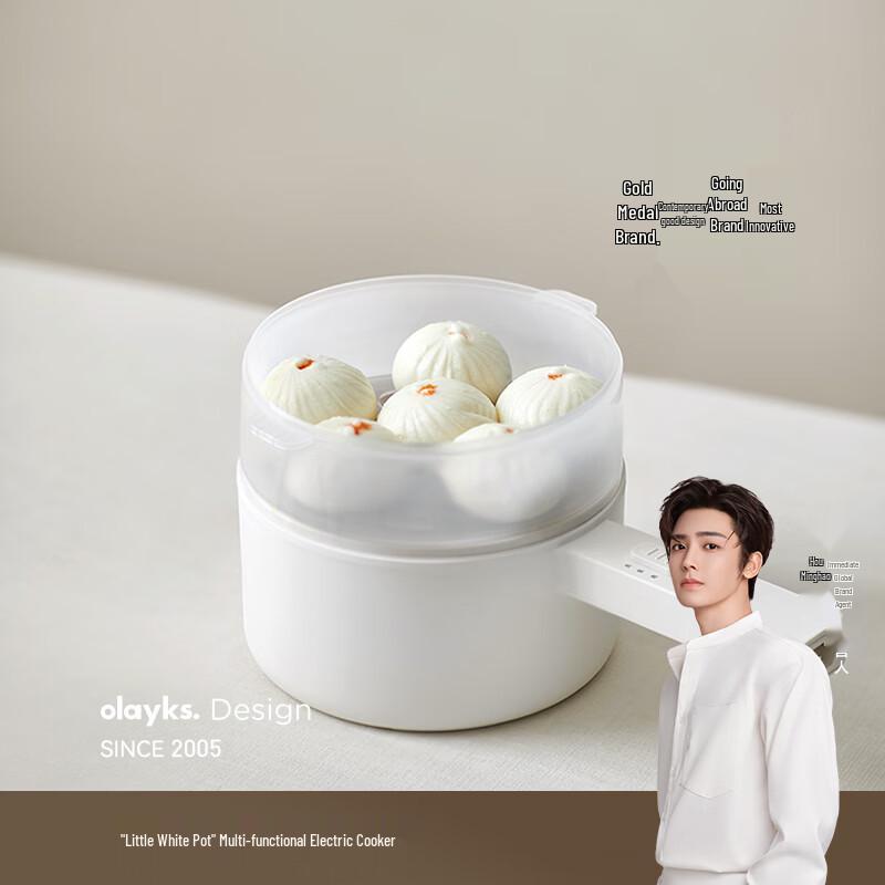 Olayks Multi-Function Electric Cooking Pot CN plug (adapter included)