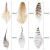 50/100Pcs Natural Pheasant Feathers Diy Crafts Jewelry Accessory Decoration Rooster Plumes High Quality