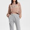 Li Ning Loose Hooded Pullover Sports Sweatshirt Women Sweatshirt Gingerbread-Brown AWDQ512-4