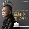 Miracle Toothbrush Slim Clear Black 6-Pack for Adults [Official]