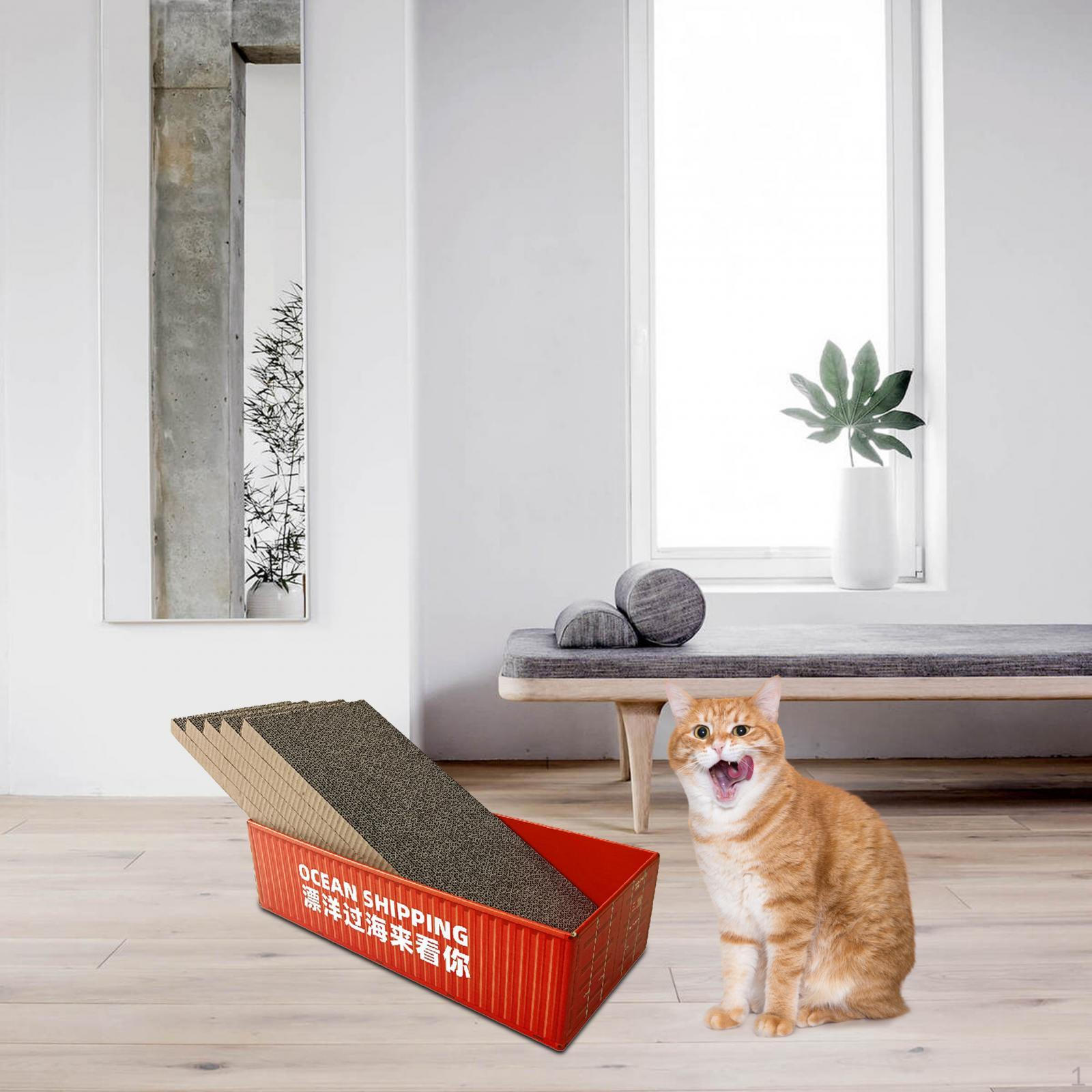 5 Pcs Cat Cardboard Lounge Sofa Bed Interactive Toy Scratching Pad Training Lounger Red Box