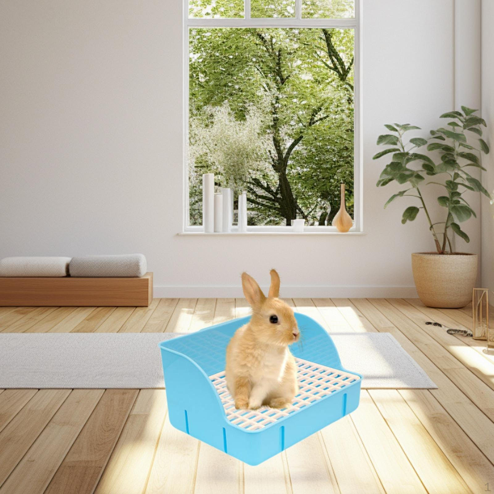 

Клетка-туалет для мелких животных, туалет для домашних хорьков синий