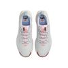 Nike Pegasus Trail 5 GORE-TEX Platinum Pink Foam Men Sneakers White Pure-Platinum Football-Grey FQ0908-009