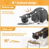 Cat Food Bowl with Stand 15 Degree Tilted Pet Food Bowl Detachable Elevated Double Dog Bowls Pet Supplies for Neck Protection