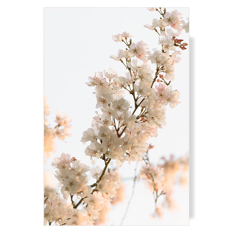 Landscape Scandinavian Nature Canvas Painting Flower Grass Beach Bird Wall Art Poster Nordic Print Modern Home Decor Picture