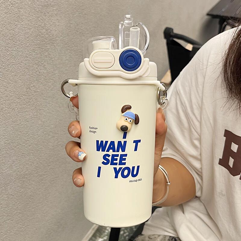 

Naijiang 316 Stainless Steel Insulated Straw Tumbler