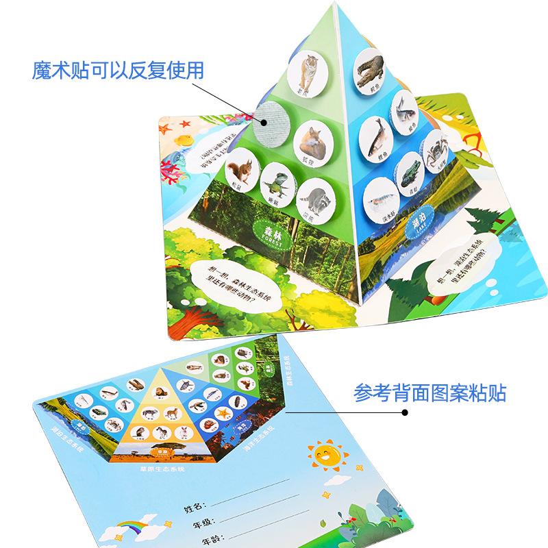 Science Experiment Food Chain Pyramid Diy Technology Small Making Children Handmade Student Biological Material Package Suit