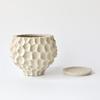 Creative Ceramic Succulent Pot for Phalaenopsis & Cyclamen - Rough Pottery Ornament
