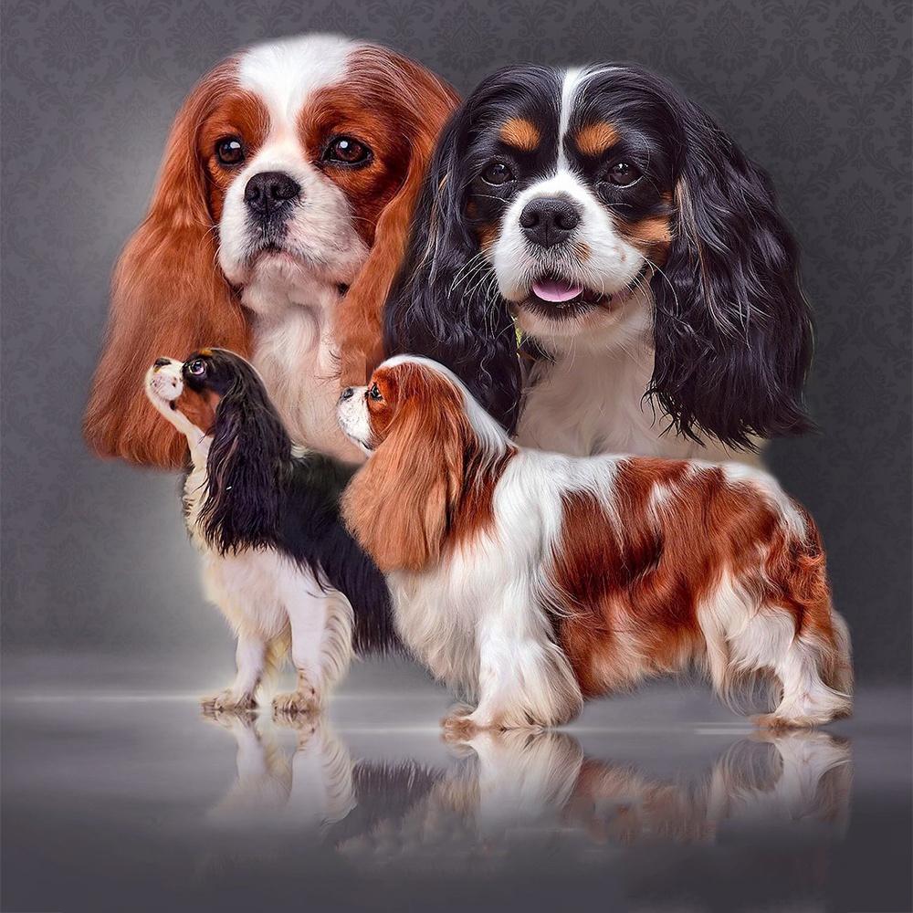 Diamond Painting Cross Animal Full Square Round Drill Diamond Embroidery Dog Diamond Mosaic Needlework Wall Art