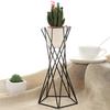 Plant Rack Eco-friendly Breathable Nordic Style Sturdy Minimalistic Fixing Iron Pineapple Design Potted Holder Garden Supplies