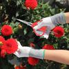 Grape Scissors Tweezers Gardening Tool Scissors 2-in-1 Branch Bonsai Scissors With Tweezers Fruit Grape Picking Tool