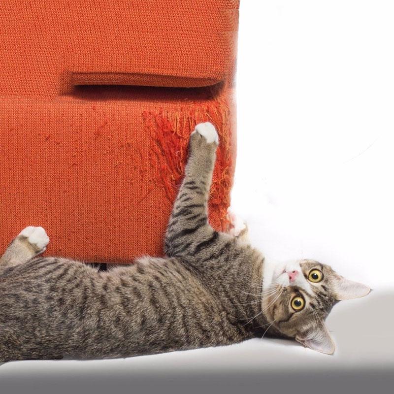 Cat Scratch Couch Guard Claw Self Adhesie Protect Pad Scratching Furniture At Affordable S Free Real Reviews With Photos Joom Cat Scratch Couch Guard Claw Self, How To Protect Furniture From Cat Scratching