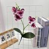 Phalaenopsis Flower Artificial Wedding Photography Props Party Gift Decorations