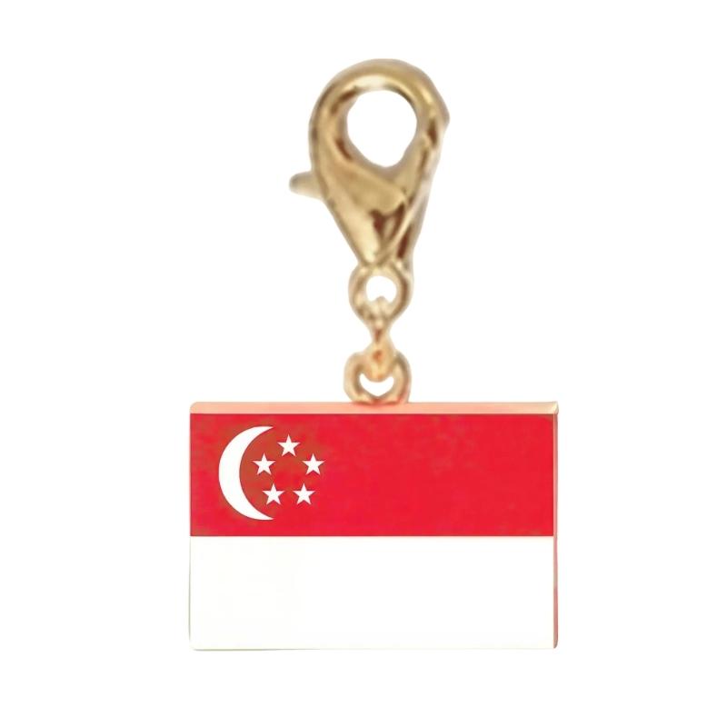 Braccialetto con Charm Bandiera in Acciaio Inossidabile con Moschettone, Gioiello Ciondolo Paese per Regalo di Viaggio Accessorio Stile