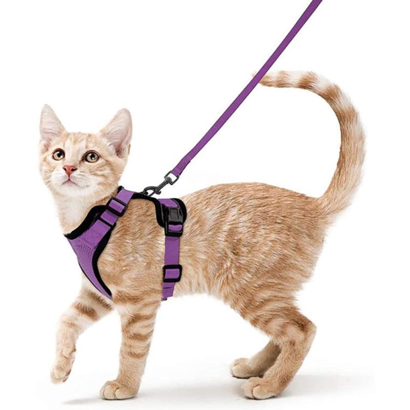 Pettorina per gatti, leggera, traspirante, regolabile, a prova di fuga, fascia toracica con fibbia a sgancio rapido per animali domestici