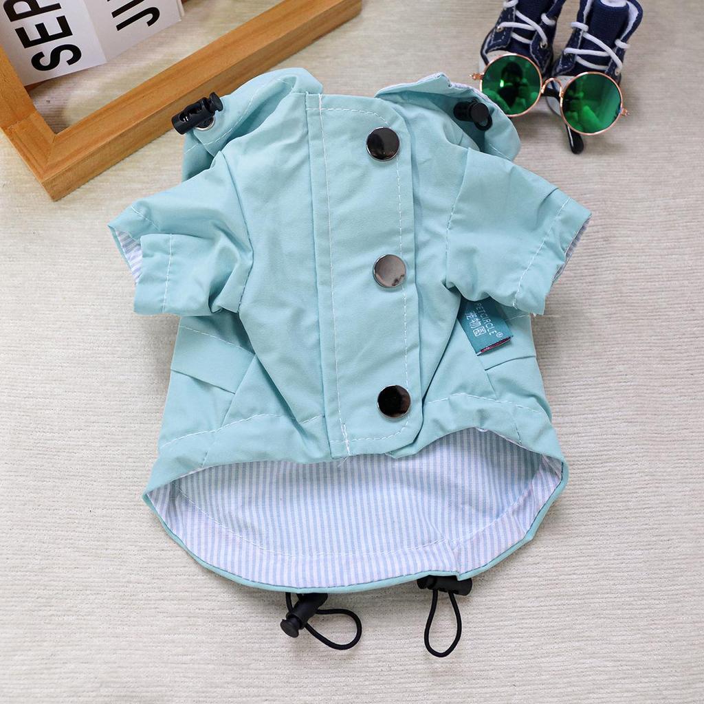 Spring/Summer Transparent Waterproof Raincoat for Small to Medium Dogs, Rainbow Design - Ideal for Teddy & Bichon Frise