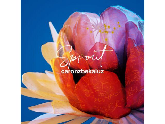 

[CD] Sprout Nomal Edition Caronzbekaluz BTI-94 J-Pop Music Unit 1st Album NEW