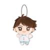 Toru Oikawa Plush Doll Haikyuu!! Nuipurike Mini 2 Approx. 10cm Official