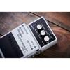 BOSS Noise Suppressor NS-2 (Black, White)
