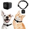 Cat Camera Collar, No WiFi Needed No APP,Cat Collar Camera with Video Record, Body Camera for Cat/Dog Recording,Camera for Cat Collar,Pet Collar