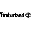 Часы Timberland TBL.TDWGF2102603