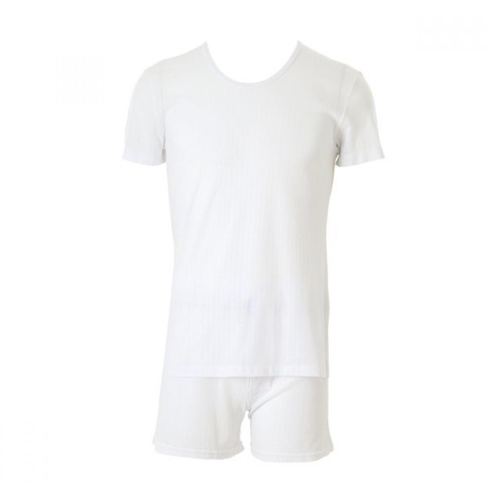 

VenuS 100 Cotton ASako Men S Short Sleeve Running Trunk Set[vmv4206avmp4206n] WH/95