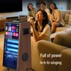 HiVi Portable KTV Karaoke Speaker System