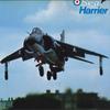 LP Record GUSTAV MAHLER KUBELIK KLEMPERER   Sea Harrier K25P169 KING 1981 Japan Obi Sound Effects  Nature Used