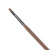 Acrylic Nail Art Brush Painting Drawing Pen Ideal Gift Gel Polish Design