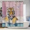 Banyo ve tuvalet – Duş Perdeleri