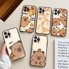Cartoon Capybara Phone Case For IPhone 17 16 15 14 11 12 13 Mini Pro XS Max Plus Funda Shell