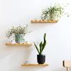 Double-Layer Hanging Plant Holder Lazy Water Plastic Basket Wall Flower Pot