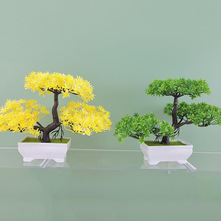 Plumosus Baker Apargus Plastic Bonsai For Indoor Decoration Tabletop