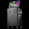 SAST Portable KTV Karaoke Speaker System CN plug (adapter included) (CN version)
