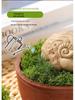 Artificial Green Moss Turf Lawn for Landscaping and Garden Decor