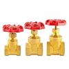 Versatile Brass Gate Valve with Female Thread 1/2" 3/4" 1" for Enhanced Plumbing Operations