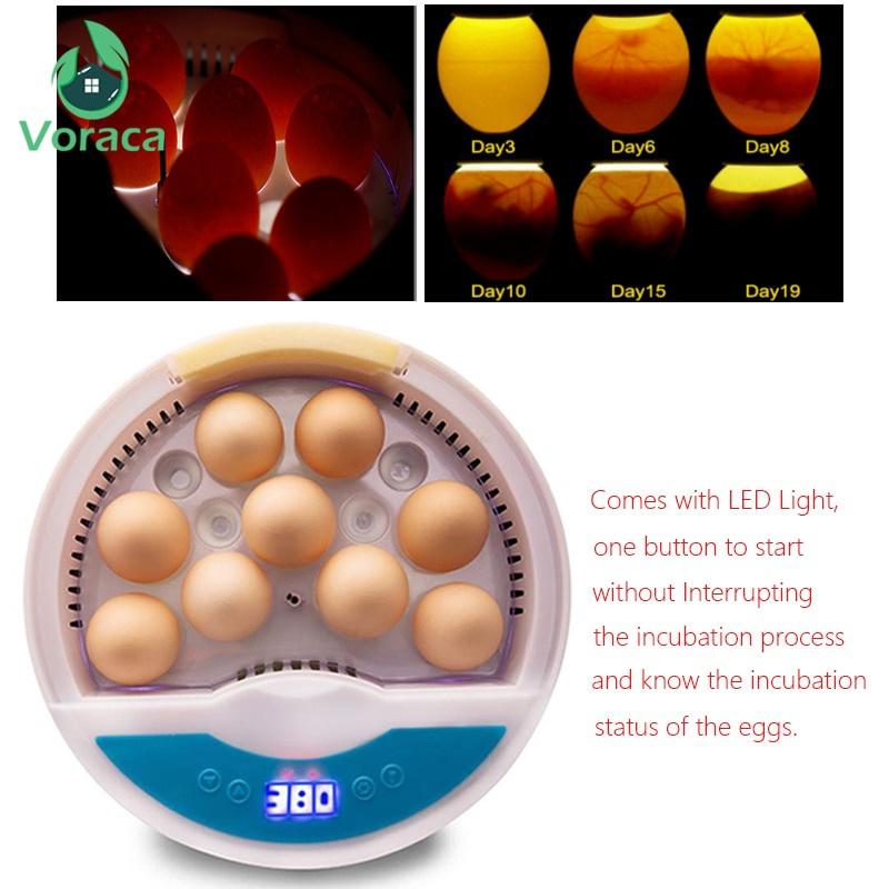 110V/220V Yumurta Kuluçka Makinesi LED Otomatik Civciv Çıkarma Makinesi Sıcaklık Kontrollü Dijital Kuluçka Makinesi 9 Yumurta Mini Civciv Büyütme Makinesi Kanatlı Kuş