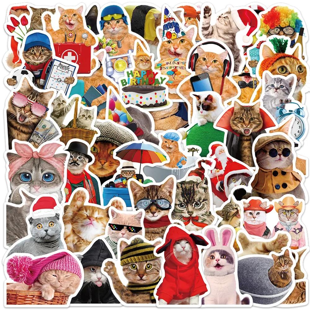 10/30/50pcs Cute Funny Animal Cat Meme Stickers Creative Cartoon Sticker Water Bottle Notebook Phone Graffiti Decals Decoration