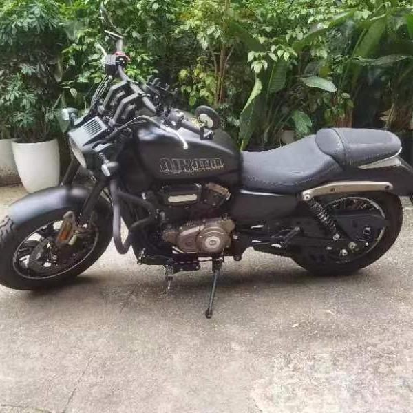 Haiyuepai Flash 350 Non-Destructive Front Bumper Protection and Competition Bar